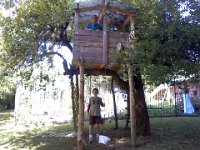 Pic-08112013-003