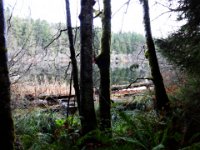 Gibbs Lake 006 : Gibbs Lake