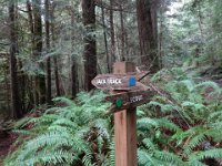 Gibbs Lake 016 : Gibbs Lake