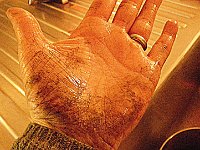 IMGP8411  Oh, yeah...the sap on the hands. Some were wondering where they could wash their hands off after throwing the caber. I was like huh? Wash it off? It smells fantastic and is not dirty - there's no norovirus in that! Plus it helps you hang onto your beer bottle that much easier. I did finally relent and showed a few people where the faucet was :)