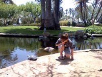 Pic-05242013-011  Sam really enjoyed studying these turtles. He really spent some serious time with them. So cute of him. He is so curious and empathetic to creatures.