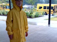 Pic-09052013-001  Going in for his assessment before the first day of school. Doesn't he look cute? And see all those great sunflowers?