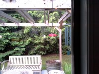 20140527 072025  You can't see him, but there's a hummingbird on the red feeder!
