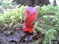 20140626 151701  "The most adventurous gummi in the world" says Sam. He brought it with us on a hike, carrying it in his hand.