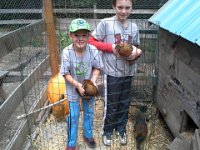 20140831 162540  Who's in the cage? I like having boys cooped up! Can you believe they could both catch hens in this tiny space?