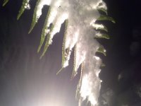 20141130 192833