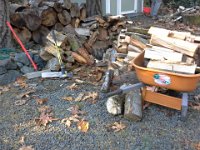 20141115 140921  My wood pile is growing!