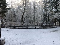 First snow  Dave took this shot at home while I was in Portland for the hockey tournament with the boys. Big snow fall (big for around here) and very cold - snow stayed on the ground for a week!