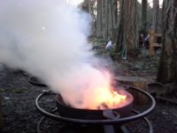 20150118 161809  Pine needles make some good fire cracker-like noises!