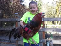 20150321 161207  Ben has been 60lbs for two years I think! But here he is with Gordon - born on Ben's 4th birthday.
