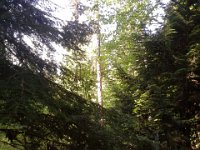 20150430 131334