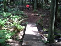20150510 124612  Beautiful trails.