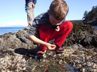 20150619 093746  I miss tidepool time with the boys. It's just not the same here, but I know I'm biased :)