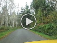 20151024 144552  The drive up to this hike is actually pretty in its own right, especially with fall colors, birch copses, and windy roads.