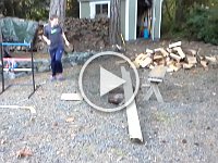 20151016 163002  Sam is very graceful.