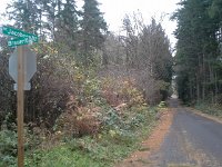 20151201 113757  This is where Sam learned to walk.