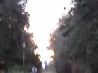 20151211 075035  Can't see the peach peaks down Day Road, but it was beautiful.