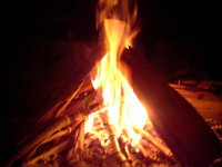 20151214 145907  Maple twigs harvested a couple years ago make for good kindling.