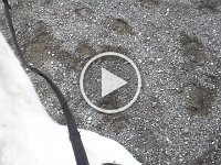 20151226 133743  Silly movie...