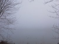 20160213 091325  The jog along the river...
