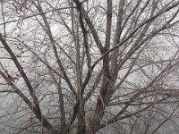 20160213 093505