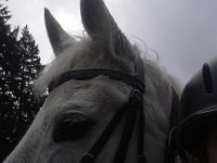 20160321 112445