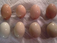 20160321 205114