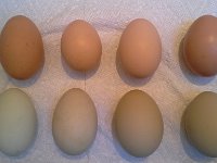 20160322 084034