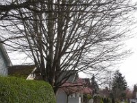 20160318 154632