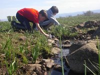 20160402 153230  Washing finds off in the stream. Careful to clean hands before hitting the snacks as all kinds of livestock manure drains into this stream ;)