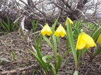 20160405 114558