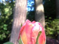 20160509 074459