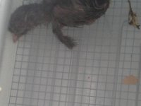 20160520 095625