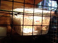 20160520 125339