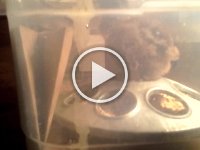20160523 131738