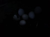 20160721 211434