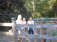 20160801 170657  Saying goodbye to chickens...