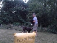 20160805 204301  Archery in the backyard!