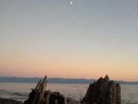 20160811 204112  Sunset walk on the beach...this is looking over the Strait of Juan de Fuca.