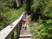 20160812 142417  On our way back. Steps cut into a tree.