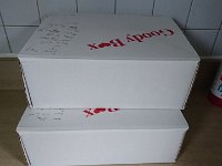 DSC 0274  Goodie boxes for friends being assembled!
