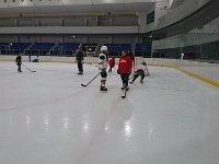 DSC 0350  Out on the ice - Sam and Tyler chatting after a battle for the puck.