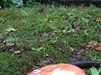DSC 0386