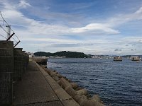 DSC 0454