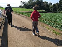 DSC 0233
