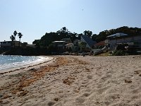 DSC 0342