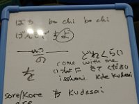 DSC 0724 1