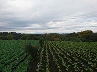 DSC 0757 1