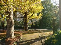 DSC 0807 1