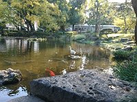 DSC 0814